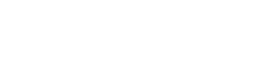 DT_GoldPartner_White Dell Logo Gold Partner White