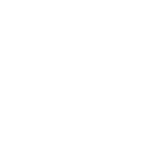 iconL-puzzle-w
