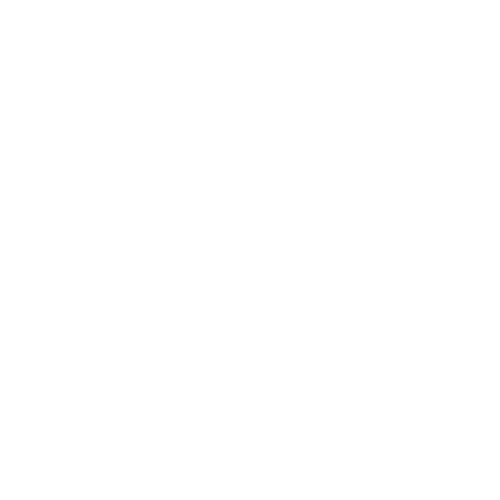 Icon-Lightning-w-01