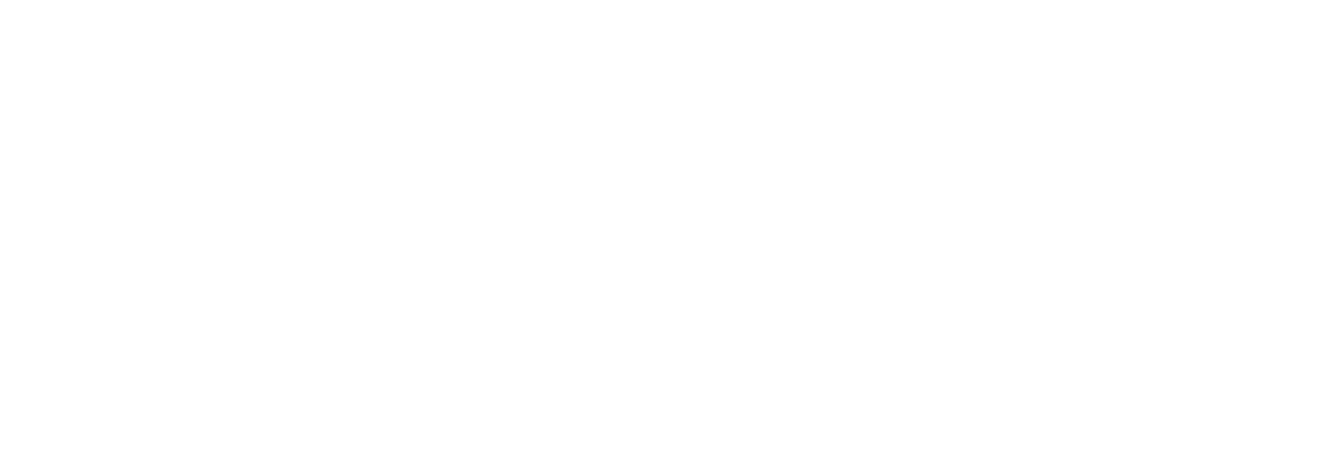 Zultys_trans_W zultys Logo