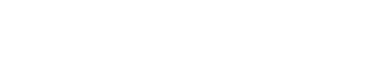 Stellar-Cyber-logo_1200x229_w kaminario logo