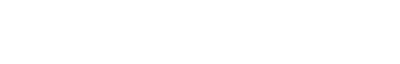kaminario-logo-partner_w kaminario logo